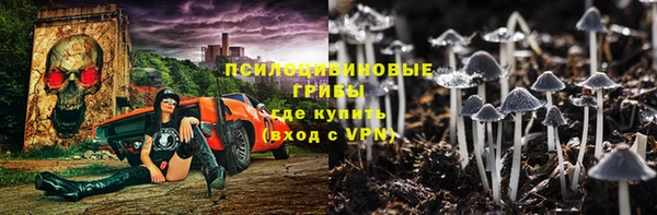 амф Анива