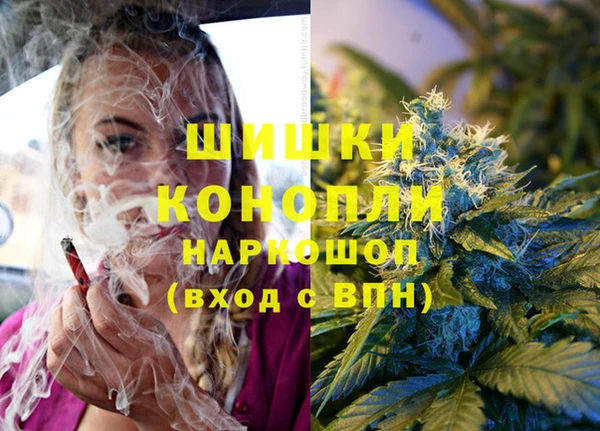 Альфа ПВП Магадан