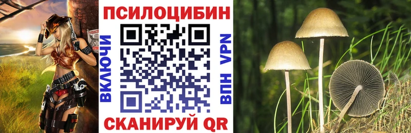 купить закладку  Мостовской  Галлюциногенные грибы Magic Shrooms 
